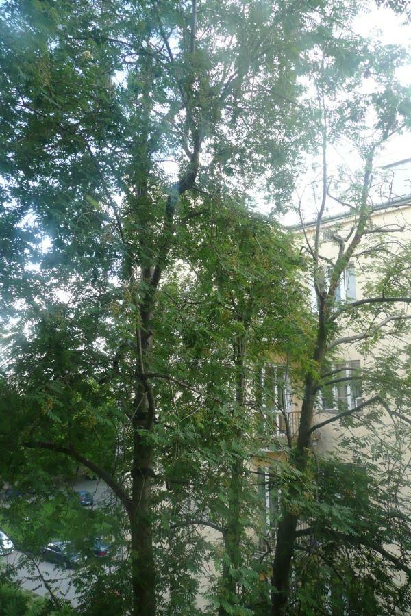 Sunny Wisla River Apartment Варшава Екстер'єр фото